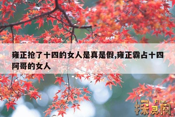 雍正抢了十四的女人是真是假,雍正霸占十四阿哥的女人