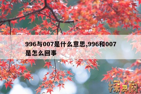 996与007是什么意思,996和007是怎么回事