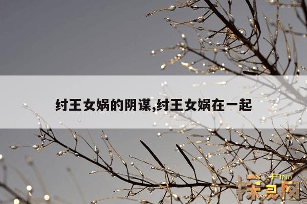 纣王女娲的阴谋,纣王女娲的阴谋在哪