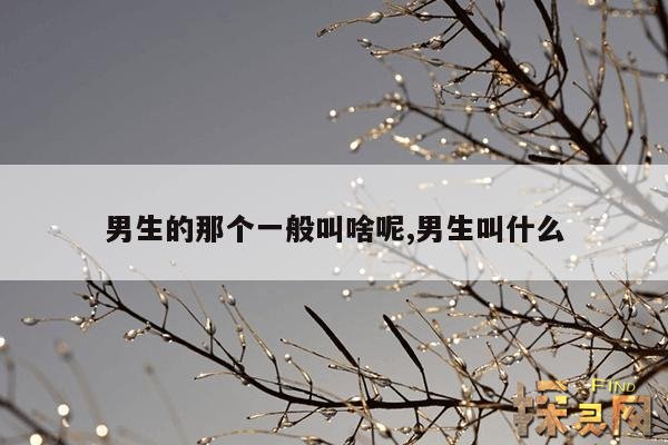 男生的那个一般叫啥呢,男生的那个还有没有其他叫法