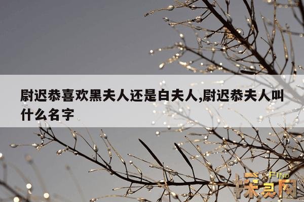 尉迟恭喜欢黑夫人还是白夫人,尉迟恭老婆是双胞胎吗？