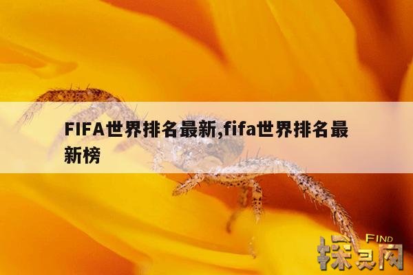 FIFA世界排名最新,fifa世界排名最新排名