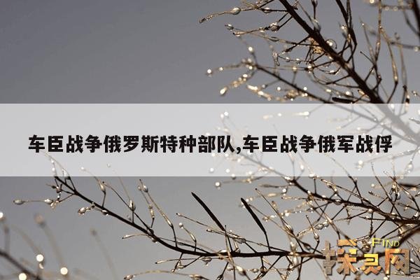 车臣战争俄罗斯特种部队,车臣战争俄罗斯士兵