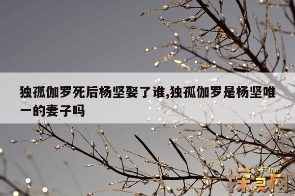 独孤伽罗死后杨坚娶了谁,杨坚五个儿子下场