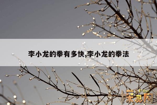 李小龙的拳有多快,李小龙的拳法