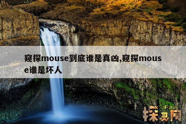 窥探mouse到底谁是真凶,窥探mouse原型