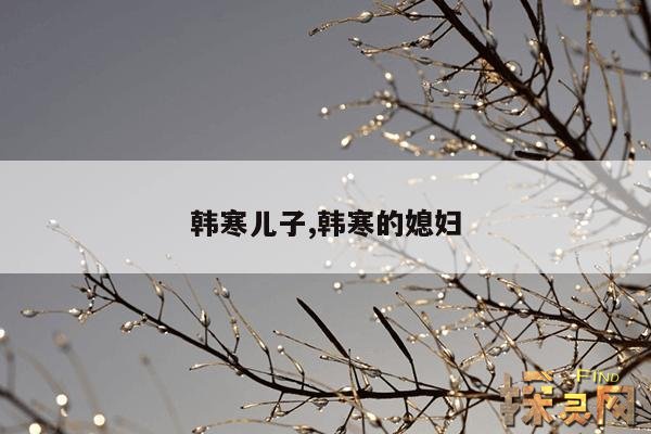 韩寒儿子,韩寒的爹