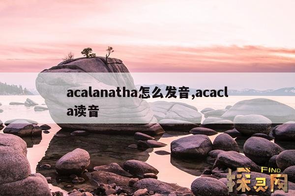 acalanatha怎么发音,acanada怎么读？