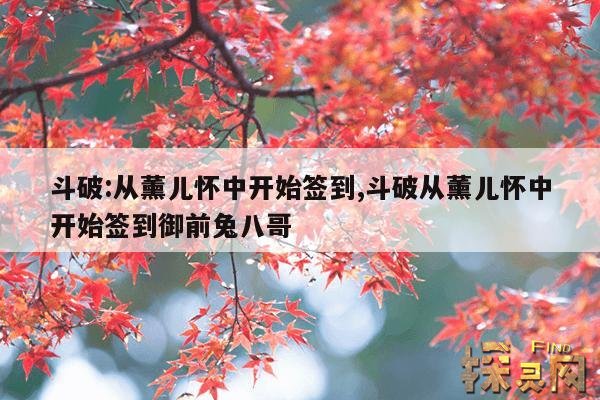 斗破:从薰儿怀中开始签到,斗破:从薰儿怀中开始签到无弹窗免费