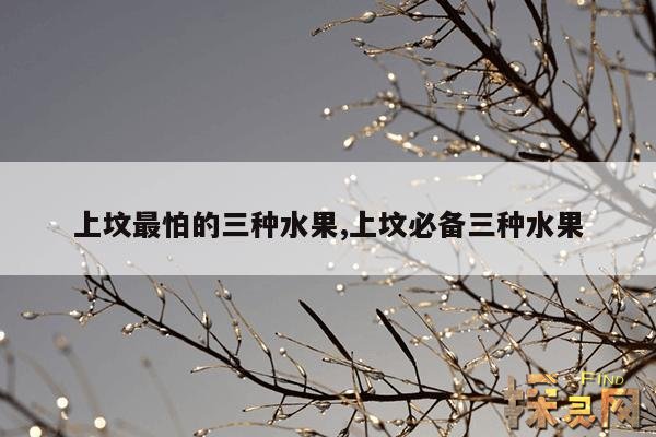 上坟最怕的三种水果,上坟最怕的三种水果上坟上几根香