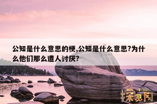 公知是什么意思的梗,公知是什么意思？为什么他们那么遭人讨厌？