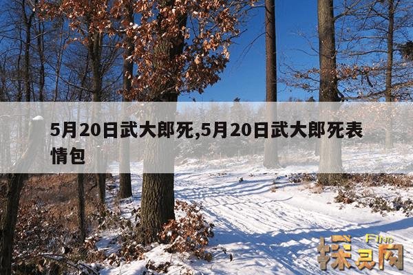 5月20日武大郎死,武大郎是在5月20号被毒死的吗？