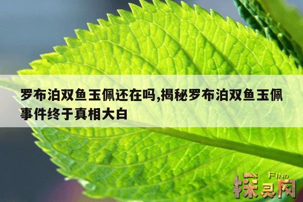 罗布泊双鱼玉佩还在吗？,罗布泊双鱼玉佩事件百度百科