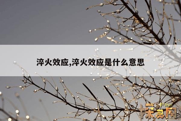 淬火效应,淬火效应给我们的启示