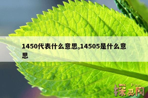 1450代表什么意思,1450 什么意思