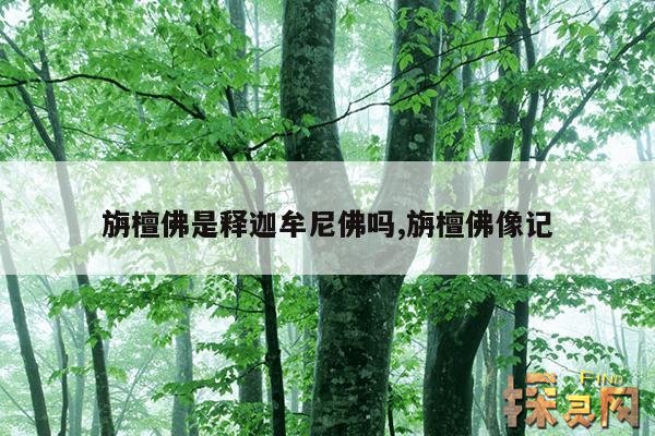 旃檀佛是释迦牟尼佛吗？,旃檀佛怎么读