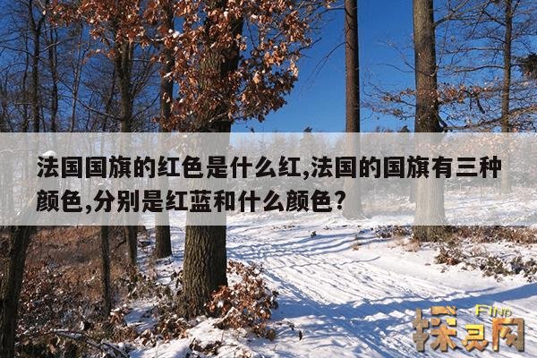 法国国旗的红色是什么红,法国的国旗有三种颜色,分别是红、蓝和什么颜色？