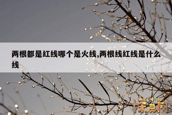 两根都是红线哪个是火线,两根线红和蓝哪一根是火线