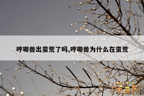 哼唧兽出蛮荒了吗？,哼哼唧唧百科