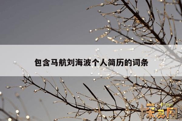 包含马航刘海波个人简历的词条,马航幸存刘海波