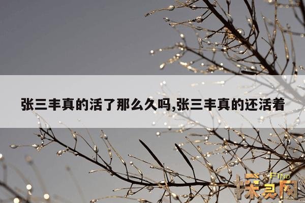 张三丰真的活了那么久吗？,张三丰究竟活了多大岁数