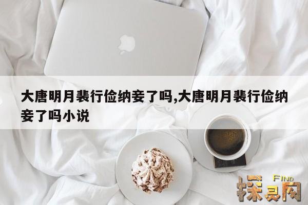 大唐明月裴行俭纳妾了吗？,大唐明月 裴二郎是谁