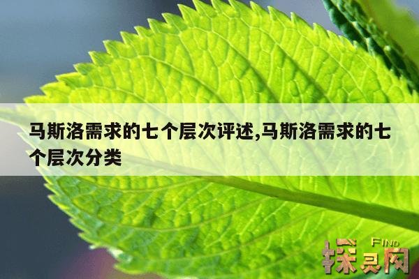 马斯洛需求的七个层次评述,马斯洛需求8个层次口诀