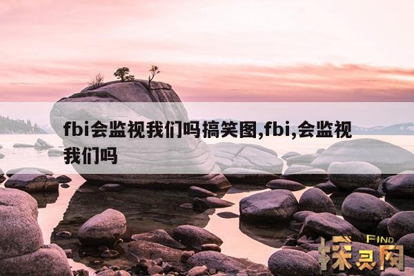 fbi会监视我们吗？搞笑图,fbi会监视我们吗？搞笑图片大全