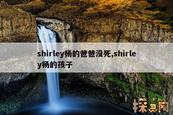 shirley杨的爸爸没死,shirley杨 父亲