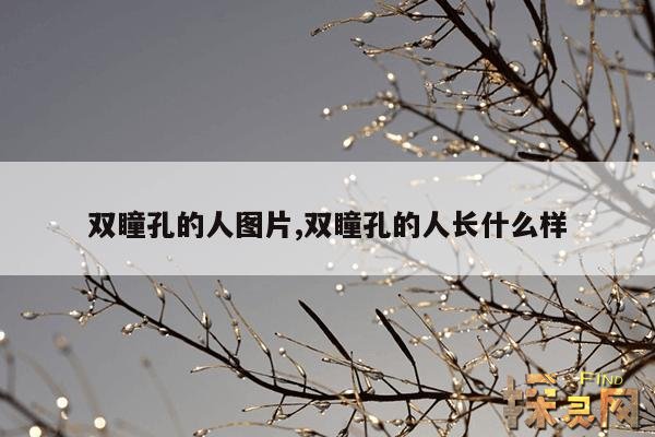 双瞳孔的人图片,双瞳孔代表什么