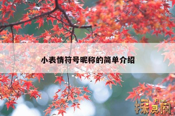 小表情符号昵称的简单介绍,小表情符号大全