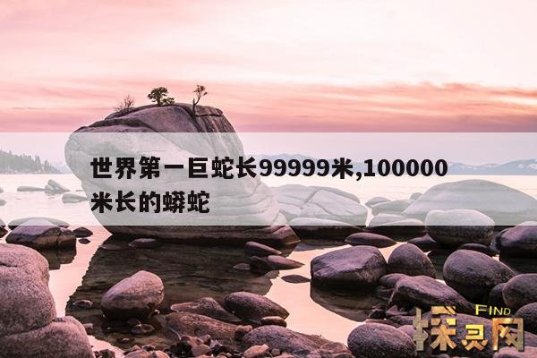 世界第一巨蛇长99999米,中国最吓人的一条巨蛇