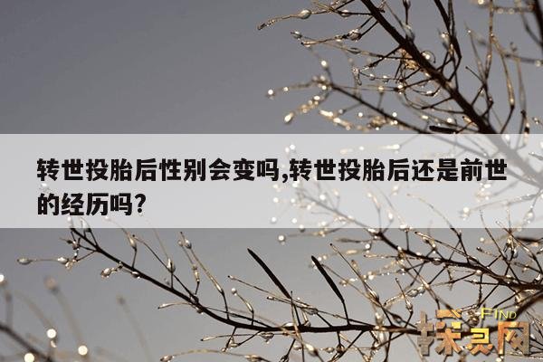 转世投胎后性别会变吗？,转世投胎后长相会变吗？