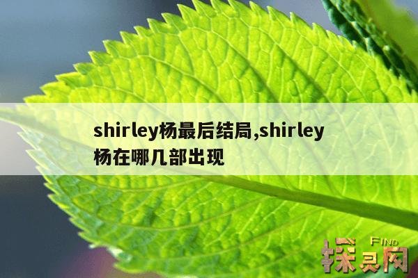 shirley杨最后结局,shirley杨的身世