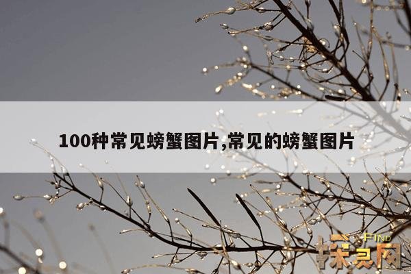 100种常见螃蟹图片,僵尸螃蟹