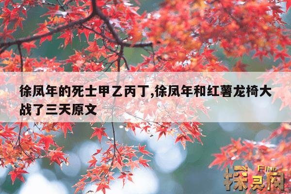 徐凤年的死士甲乙丙丁,徐凤年的死士甲乙丙丁都是谁