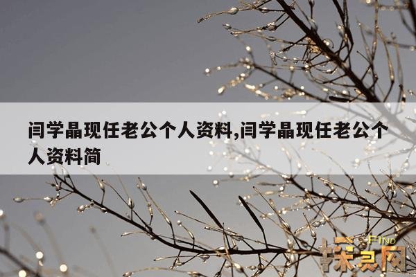 闫学晶现任老公个人资料,闫学晶现任老公是谁个人资料