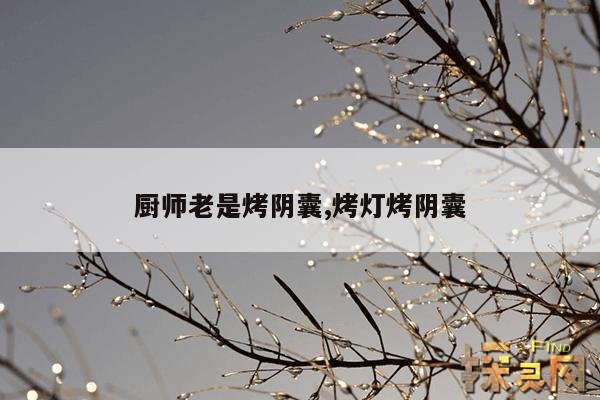 厨师老是烤阴囊,烤灯烤阴囊