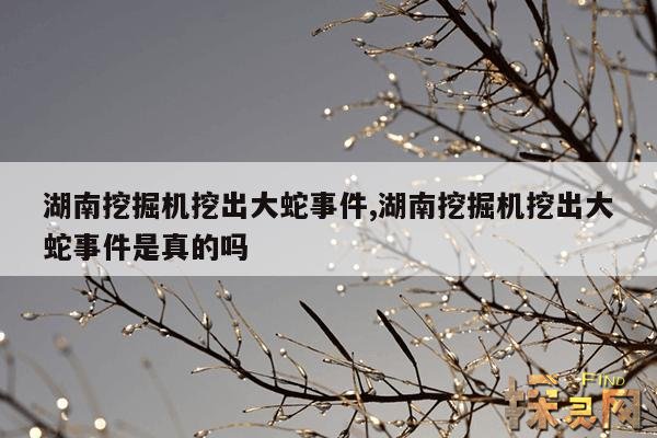 湖南挖掘机挖出大蛇事件,湖南挖土机