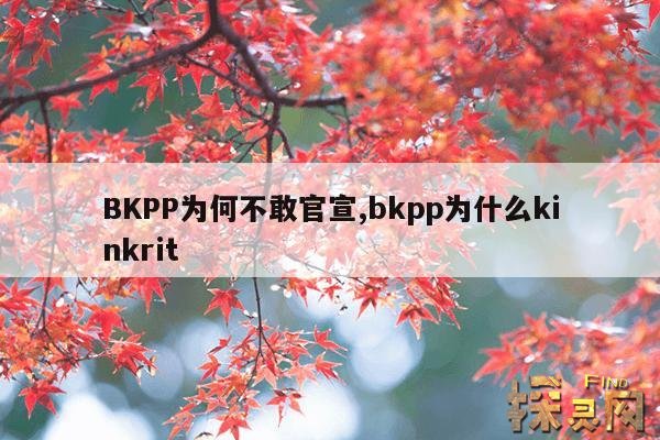 BKPP为何不敢官宣,bkpp官宣