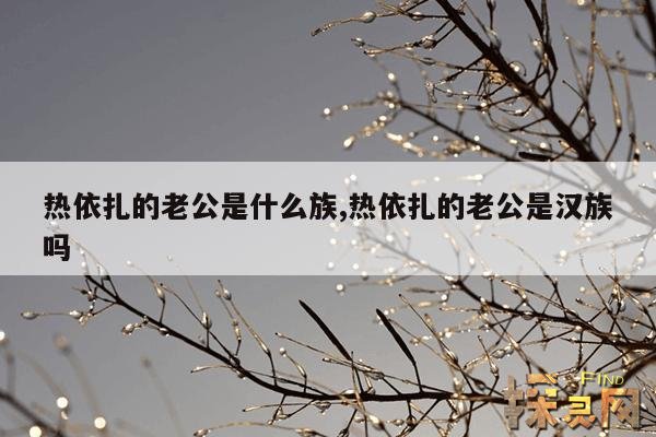 热依扎的老公是什么族,热依扎的老公是谁呢