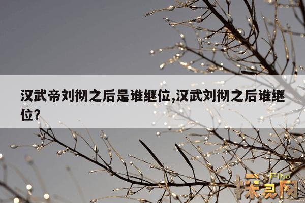 汉武帝刘彻之后是谁继位,汉武帝为什么灭卫青九族