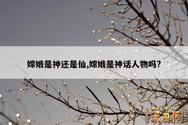 嫦娥是神还是仙,嫦娥是神话中的什么神