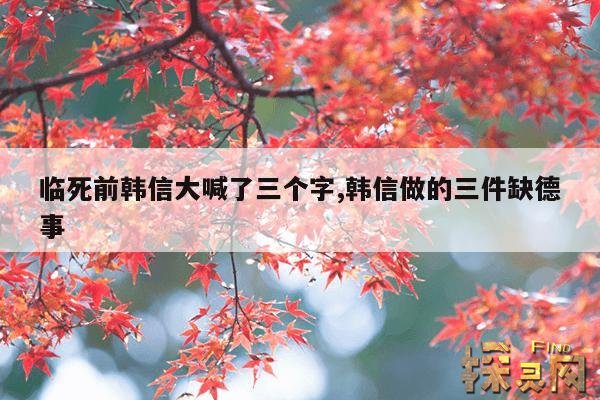 临死前韩信大喊了三个字,临死前韩信大喊了三个字是什么意思