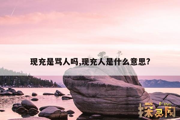 现充是骂人吗？,现充是什么意思？