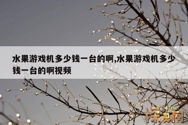 水果游戏机多少钱一台的啊,水果游戏机多少钱一台的啊图片