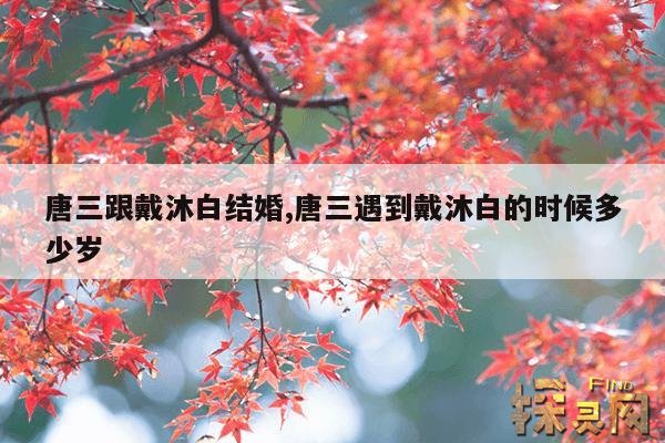 唐三跟戴沐白结婚,唐三和戴沐白的cp名