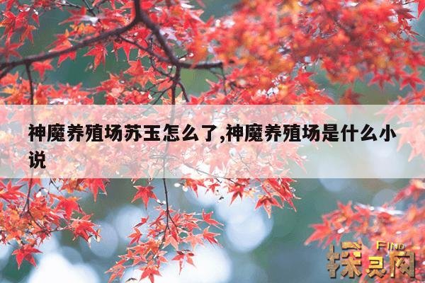 神魔养殖场苏玉怎么了,神魔养殖场158章