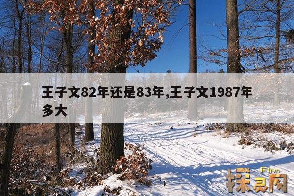 王子文82年还是83年,王子文82年还是87年