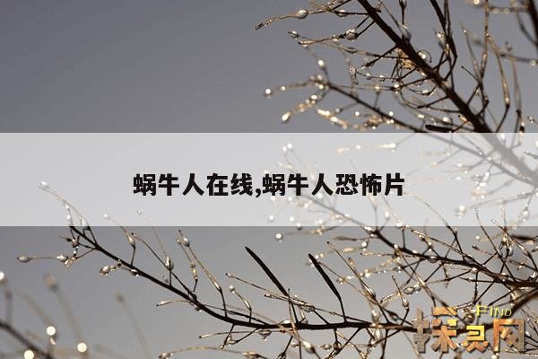 蜗牛人在线,蜗牛人app